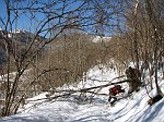 04 Alberi ceduti sotto il peso delal neve